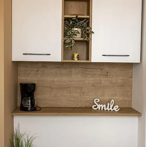 Rooftop Appartement Crikvenica